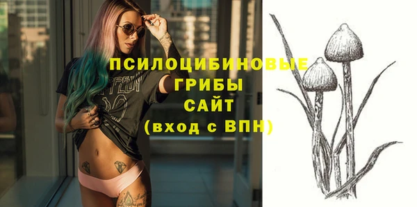 мдпв Приозерск