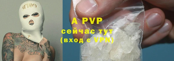 дживик Струнино