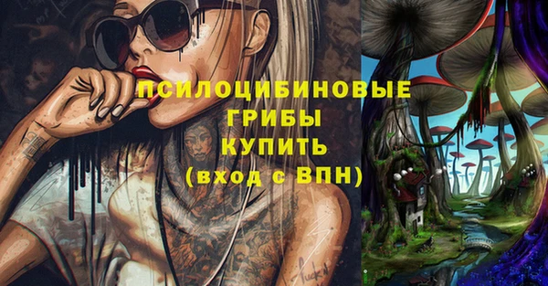мдпв Приозерск