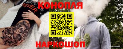 амф Гатчина
