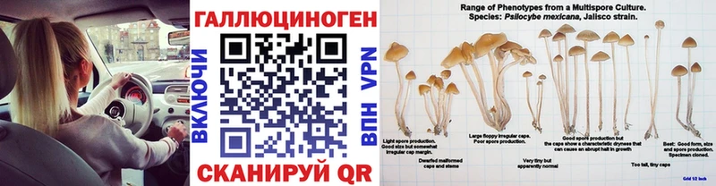 mega ТОР  закладки  Азнакаево  Галлюциногенные грибы мицелий 