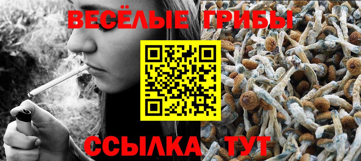 Галлюциногенные грибы Psilocybine cubensis  Галлюциногенные грибы Psilocybine cubensis  Вход с VPN  Азнакаево 