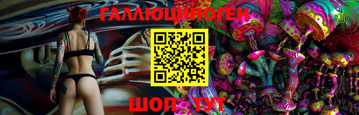 Псилоцибиновые грибы Cubensis Азнакаево