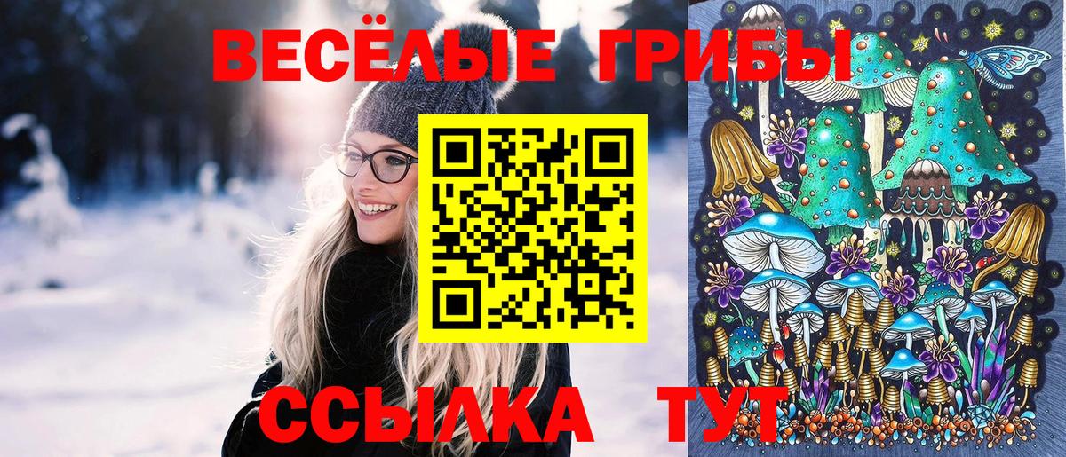 Галлюциногенные грибы Cubensis  Азнакаево  Псилоцибиновые грибы мицелий 